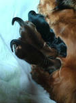 200806050817.jpg