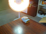 P1020147.JPG