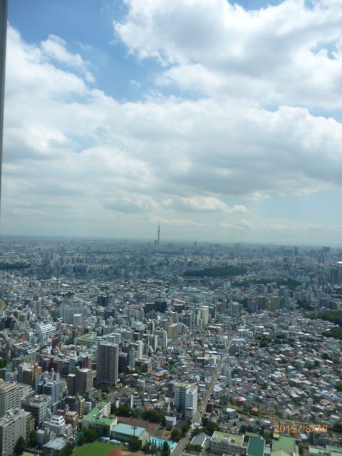 15634373_1746287630_46large.jpg