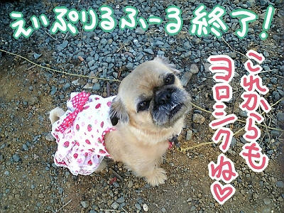 花ちゃん