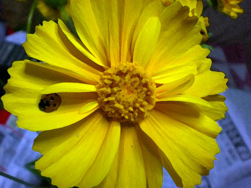 08bc07ec.jpg