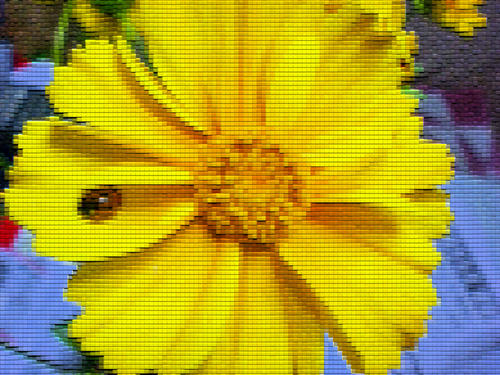 f2634a9b.jpg