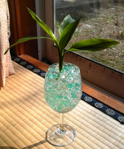 TS3N0040.JPG