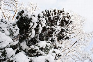 a1200_000051.jpg
