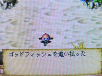 たまおの勝ち~
