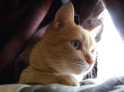 blog20070812_3.jpg