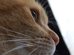 blog20070812_4.jpg