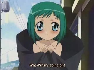 美鳥の日々