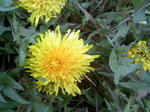 2008_4_10_2.jpg