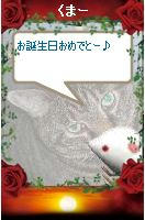 お誕生日ありがとうくまー