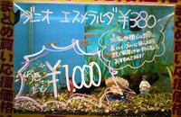 千と千尋の熱帯魚