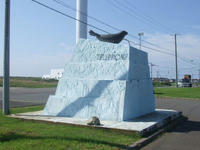 TELEPHONE