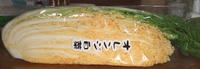 オレンジ白菜