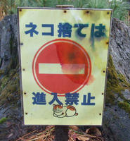 ネコ捨ては進入禁止