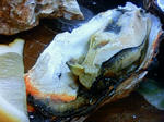 200908071203001.jpg