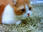 200908152136001.jpg