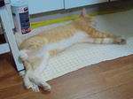 2011090121340000.jpg