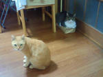 2011100619390001.jpg