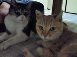 2012011323480000.jpg