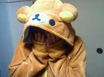 2012012500060001.jpg