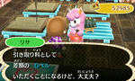 HNI_0051.JPG