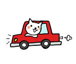 10nekokuruma.jpg