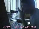 Unreal Gamer字幕あり