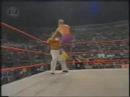 プロレスマヌケ集