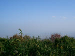 CIMG1654.JPG