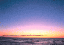 16.gif