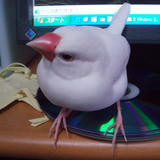 こんなポーズはどうかしら？