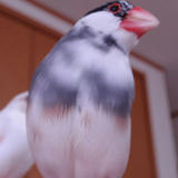 あ～、びしょびしょだよ～