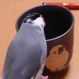 何か入ってるかなぁ～？[何にも入っていませんよ～だ(笑)]