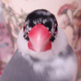 えっ？あたしの正面顔、ぶちゃいく？