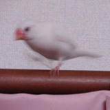 さ～て、どこから入ろうかしら～？