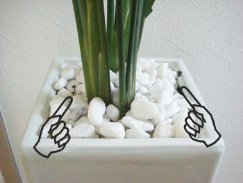 aa0d44f8.JPG