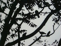 6b209b21.JPG