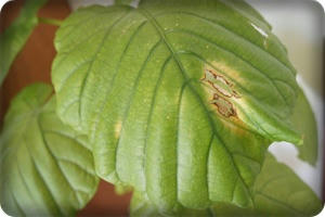 2f2311be.JPG