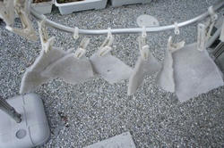 45325e01.JPG