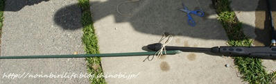 d757b094.JPG
