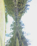 NEC_0330.jpg