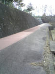 DVC00021-1.jpg