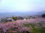100409_094849_1.jpg
