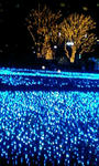 071214_2240~0002.JPG