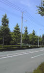 080723_1318~01.jpg