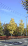 091109_0949~01.jpg