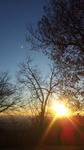 110101_0708~01.jpg