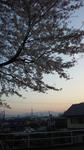 110414_1803~01.jpg