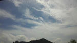 110824_1240~02.jpg