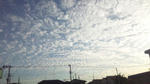 111101_1520~01.jpg